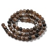 Natural Black Moonstone Beads Strands G-A219-A01-03-3