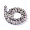 Natural Maifanite/Maifan Stone Beads Strands G-F353-4mm-4