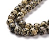 Natural Dalmatian Jasper Beads Strands G-Q462-10mm-30-5