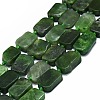 Natural Canadian Jade Beads Strands G-F725-04-1