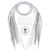 11Pcs Stainless Steel Circular Knitting Needles SENE-WR0001-03-1