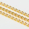 Iron Twisted Chains Curb Chains X-CHS003Y-G-1