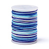 Segment Dyed Polyester Thread NWIR-I013-A-2