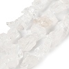 Natural Quartz Crystal Beads Strands G-Q023-A02-01-1