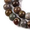 Natural Picture Jasper Beads Strands G-H037-A01-01-4