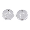 Non-Tarnish 316 Surgical Stainless Steel Charms STAS-S116-418F-P-2