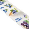 Fruits PET Self-Adhesive Stickers DIY-K074-11C-3