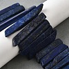 Natural Lapis Lazuli Beads Strands G-S386-D13-1