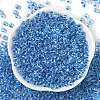 Transparent Inside Colours Glass Seed Beads SEED-A032-04D-2