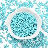 Baking Paint Glass Seed Beads SEED-A033-04P-2
