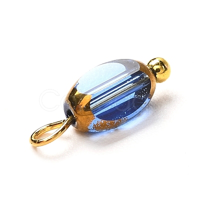 Electroplate Glass Pendants PALLOY-JF00895-1