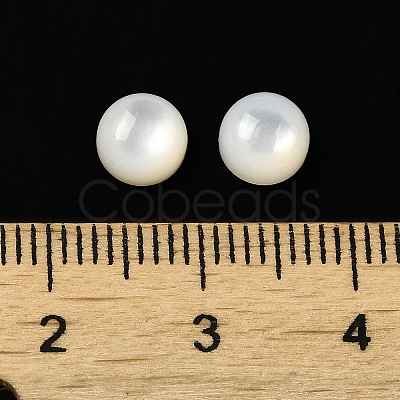 Natural White Shell Cabochons SSHEL-M022-01A-1