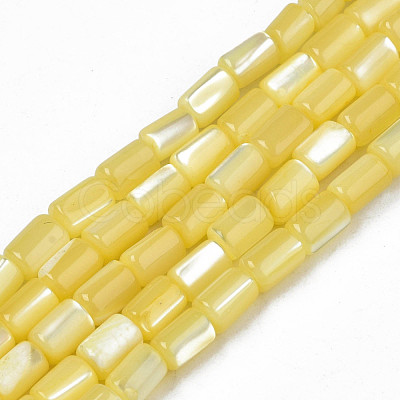 Natural Trochid Shell/Trochus Shell Beads Strands SHEL-N003-26-B10-1