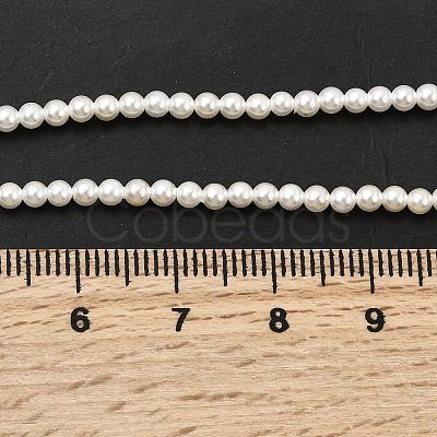 Electroplated Shell Pearl Beads Strands BSHE-K017-2.5mm-1