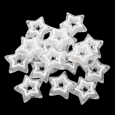 Acrylic Beads SACR-G033-02E-1