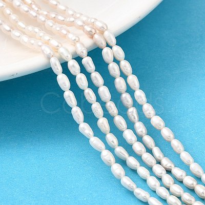 Natural Cultured Freshwater Pearl Beads Strands PEAR-I007-01L-01B-1