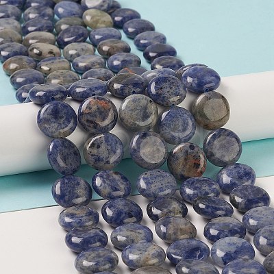 Natural Sodalite Beads Strands G-M403-C11-1