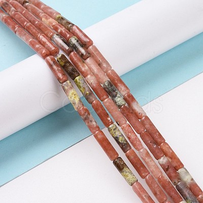 Natural Plum Blossom Jasper Beads Strands G-F247-54-1