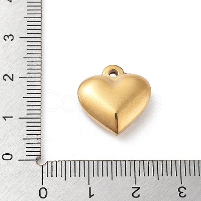 304 Stainless Steel Pendants STAS-M326-01C-G-1