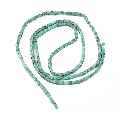 Natural HuBei Turquoise Beads Strands G-G271-G05-1x1.5mm-1