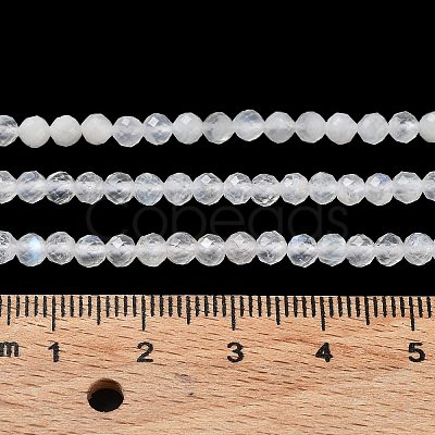 Natural Rainbow Moonstone Beads Strands G-J400-E12-01-1