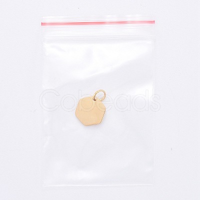 201 Stainless Steel Charms LS-STAS-S105-T626-2-1