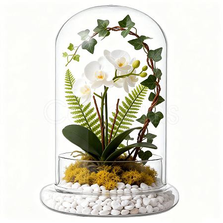 Arch Glass Dome Cover AJEW-WH0481-569A-1