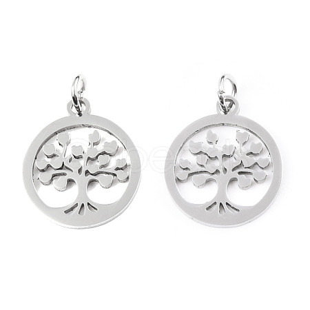 Non-Tarnish 304 Stainless Steel Pendants STAS-T046-JA350-1-1