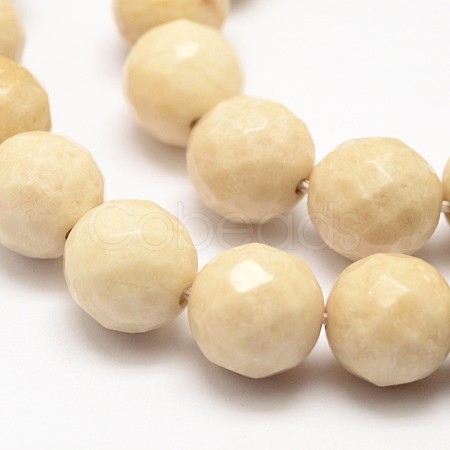 Natural Fossil Round Bead Strands X-G-O151-02-10mm-1