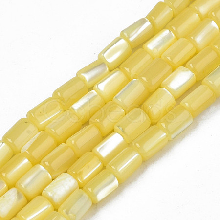 Natural Trochid Shell/Trochus Shell Beads Strands SHEL-N003-26-B10-1