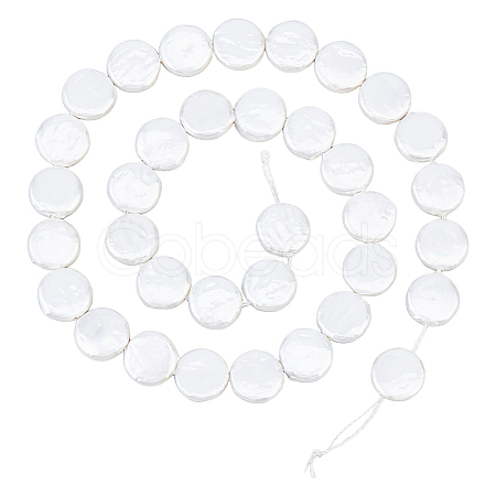 1 Strand Shell Pearl Beads Strands BSHE-HS0001-01-1