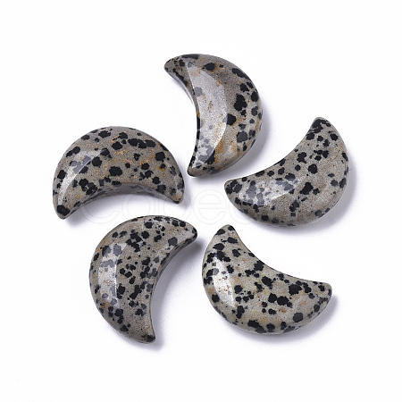 Moon Shape Natural  Dalmatian Jasper Healing Crystal Pocket Palm Stones X-G-T132-001-1