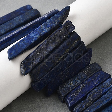 Natural Lapis Lazuli Beads Strands G-S386-D13-1