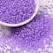 Cylinder Seed Beads, Frosted AB Colors, Round Hole, Uniform Size, Mauve, 2x1.5mm, Hole: 0.8mm, about 888pcs/10g