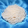 Round Shell Pearl Bead Strands X-BSHE-L011-2.5mm-A013-2