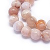 Natural Cherry Blossom Agate Beads Strands G-I249-B01-03-3