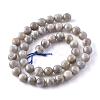 Natural Labradorite Beads Strands X-G-G212-8mm-23-5