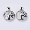 Natural Quartz Crystal Pendants G-P350-D15-1