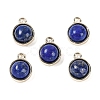 Natural Lapis Lazuli Pendants G-K372-03G-09-1