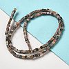 Natural Rhodonite Beads Strands G-B064-A31-2