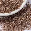 MIYUKI Round Rocailles Beads X-SEED-G008-RR3521-1