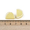 Baking Paint Glass Enamel Beads LAMP-C021-02B-3