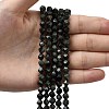 Natural Kambaba Jasper Beads Strands G-Z119-A20-01-2