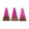 Resin & Wood Pendants X-WOOD-F015-03A-1