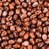Picasso Glass Seed Beads SEED-N012-10E-3