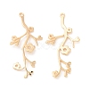 Brass Pendants KK-G468-26G-1
