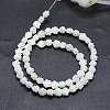 Natural White Shell Beads Strands SSHEL-P015-01A-10mm-2