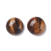 Gemstone Cabochon X-GP519-10MM-2