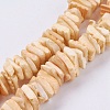 Natural Sea Shell Beads Strands BSHE-K012-08-4
