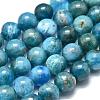 Natural Apatite Beads Strands G-O186-E02-6mm-3